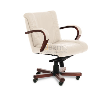 Офисный стул MASTER B кожа+кож.зам.