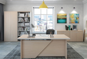 Кабинет руководителя Zoom