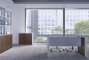 Кабинет руководителя Steel Evo